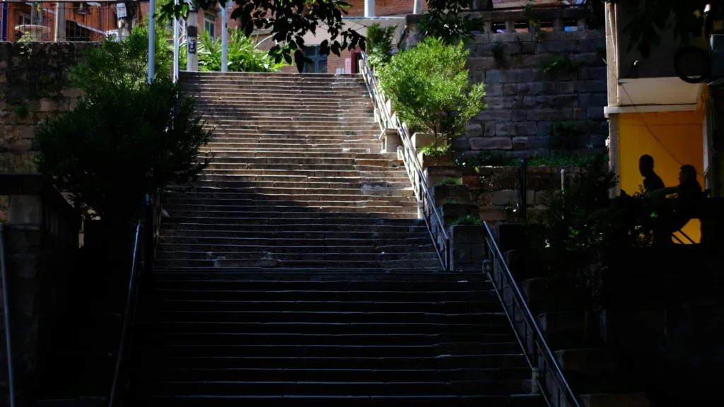 מדרגות אבן עולות בין עצים ובניינים